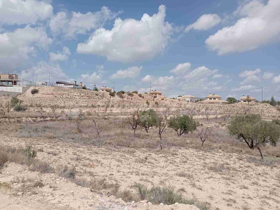 Helårsgrund i Monovar, Alicante - foto 3